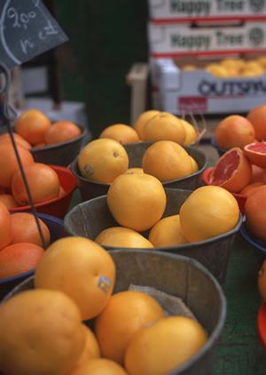 新橋の居酒屋で個室利用を満喫！プライベート空間と絶品料理を楽しめるおすすめ店
