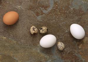 新宿で味わう極上の牡蠣体験｜Oyster Bar ジャックポット新宿の魅力と詳細情報